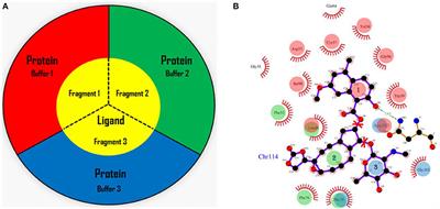 Automated Fragmentation QM/MM Calculation of NMR Chemical Shifts for Protein-Ligand Complexes